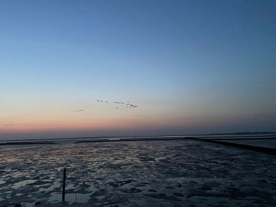 Holiday house Ferienhaus Seeschwalbe in Dornumersiel - Environment photo 15