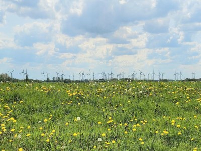 Holiday house Ferienhaus Seeschwalbe in Dornumersiel - Environment photo 16