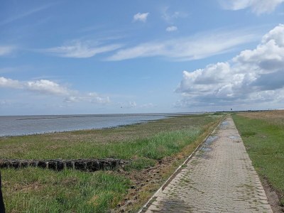 Holiday house Ferienhaus Seeschwalbe in Dornumersiel - Environment photo 23