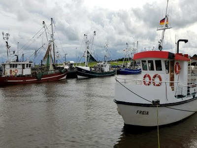 Holiday house Ferienhaus Seeschwalbe in Dornumersiel - Environment photo 25