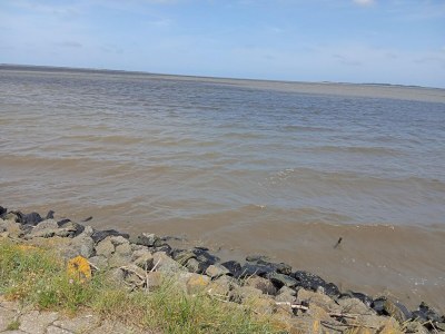 Holiday house Ferienhaus Seeschwalbe in Dornumersiel - Environment photo 28