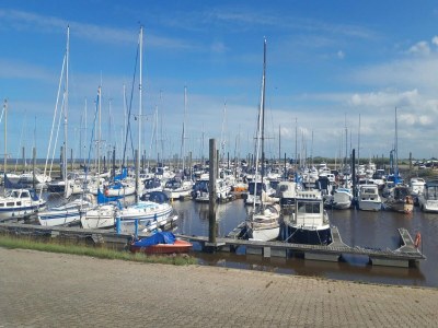 Holiday house Ferienhaus Seeschwalbe in Dornumersiel - Environment photo 29