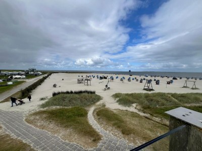 Holiday house Ferienhaus Seeschwalbe in Dornumersiel - Environment photo 30