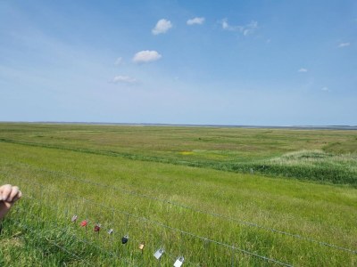 Holiday house Ferienhaus Seeschwalbe in Dornumersiel - Environment photo 33