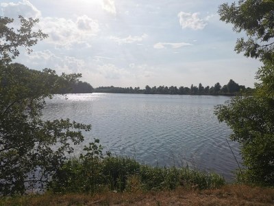 Holiday house Ferienhaus Seeschwalbe in Dornumersiel - Environment photo 36