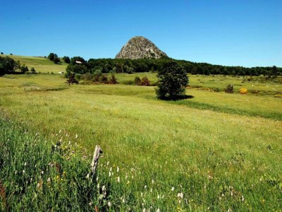 Villa Hillside Villa with Pool, Joyeuse - Environment photo 24