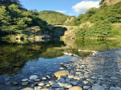 Villa Hillside Villa with Pool, Joyeuse - Environment photo 31