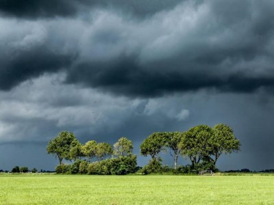 Bungalow Bungalow in Makkum am Seeufer - Environment photo 34