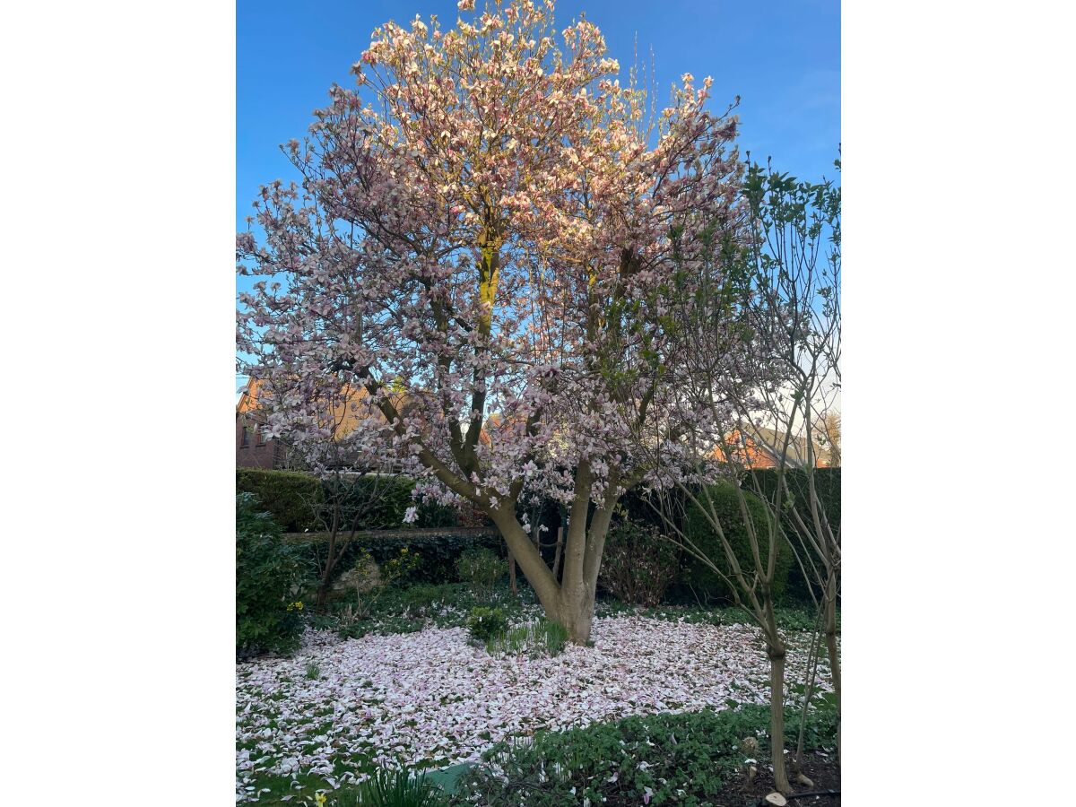 Holiday house No title - Outdoor photo 3