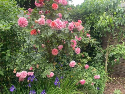 Holiday house No title - Outdoor photo 6