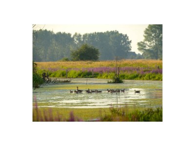 Holiday house No title - Environment photo 23