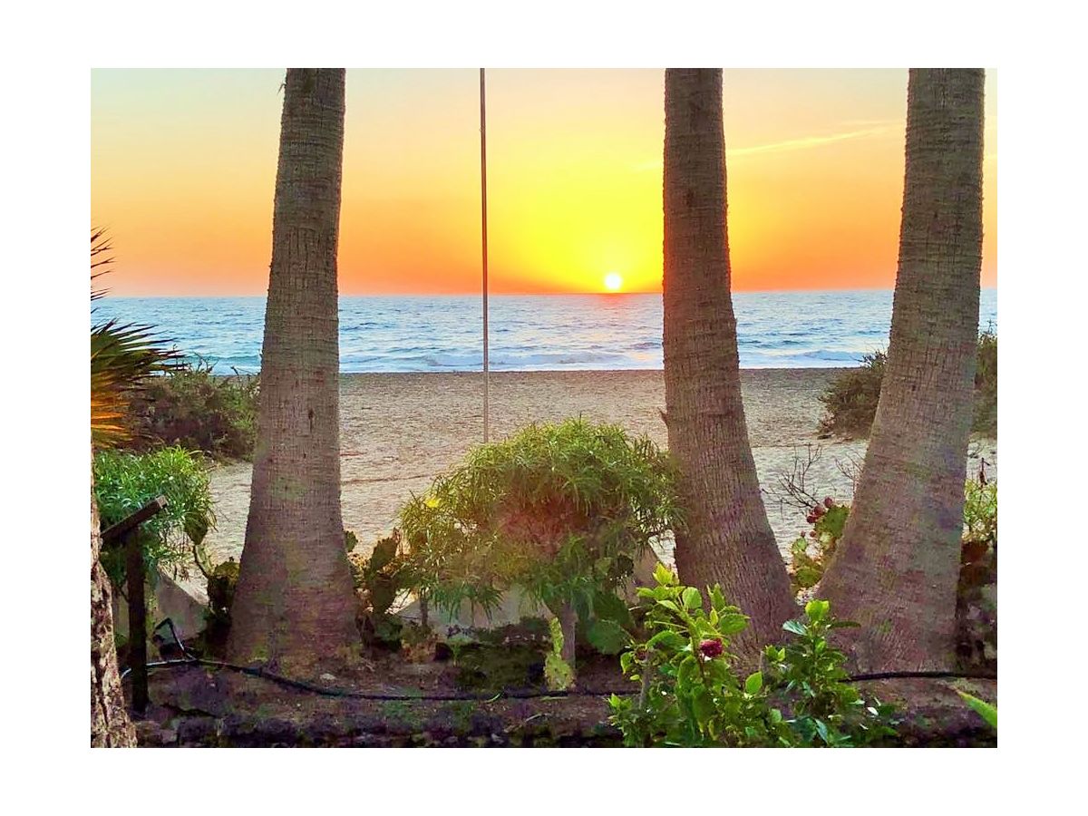 Apartment Beach Apartment directly by the sea - Vacation under palm trees - Outdoor photo 5