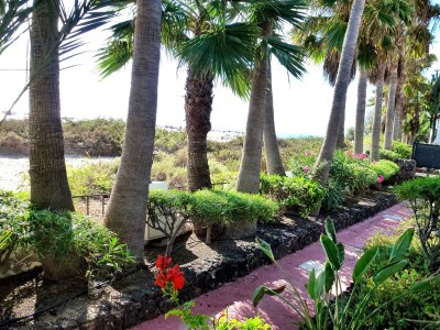Apartment Beach Apartment directly by the sea - Vacation under palm trees - Outdoor photo 4