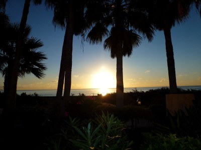 Apartment Beach Apartment directly by the sea - Vacation under palm trees - Environment photo 15
