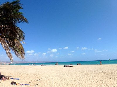 Apartment Beach Apartment directly by the sea - Vacation under palm trees - Environment photo 16