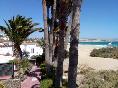 Apartment Beach Apartment directly by the sea - Vacation under palm trees - Environment photo 17