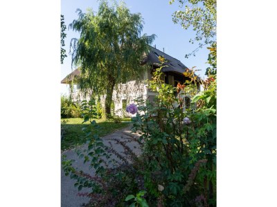 Holiday apartment Directly on Lake Neusiedl! - Environment photo 29