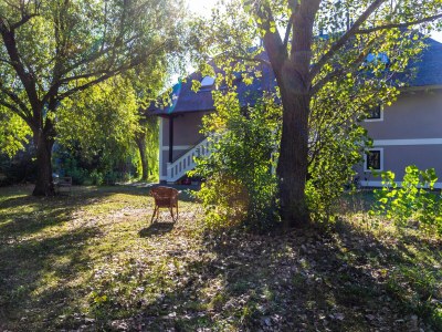 Holiday apartment Directly on Lake Neusiedl! - Environment photo 30