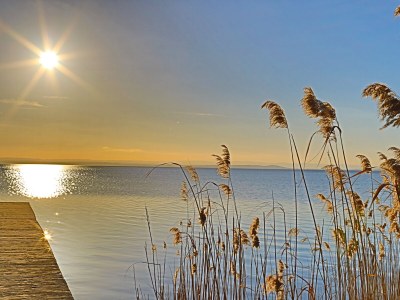 Holiday apartment Directly on Lake Neusiedl! - Environment photo 33