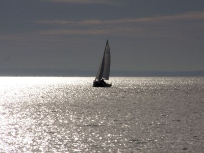 Holiday apartment Directly on Lake Neusiedl! - Environment photo 34