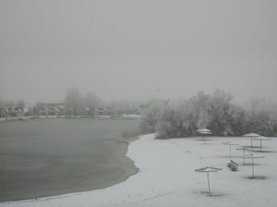 Holiday apartment Directly on Lake Neusiedl! - Environment photo 38