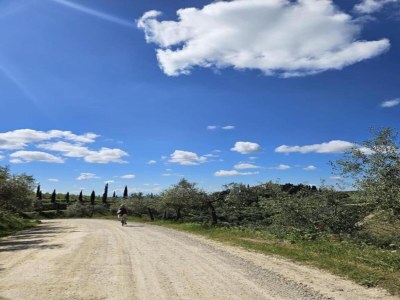 Villa Ruhiger Rückzugsort im Chianti - Environment photo 25