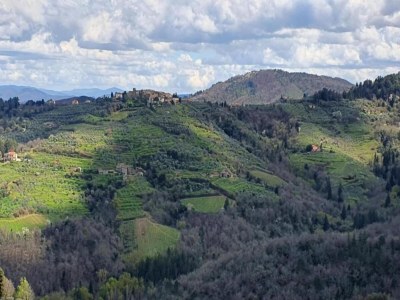 Villa Ruhiger Rückzugsort im Chianti - Environment photo 28
