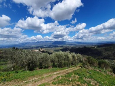 Villa Ruhiger Rückzugsort im Chianti - Environment photo 31