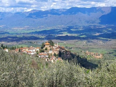 Villa Ruhiger Rückzugsort im Chianti - Environment photo 32