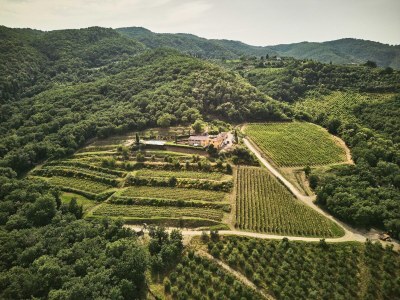 Villa Tranquil Chianti Escape for 4 - Outdoor photo 13