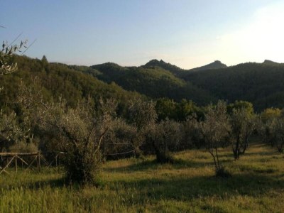 Villa Tranquil Chianti Escape for 4 - Environment photo 24