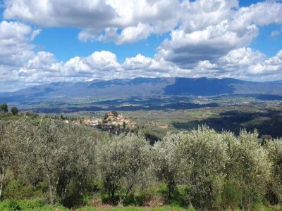 Villa Tranquil Chianti Escape for 4 - Environment photo 28