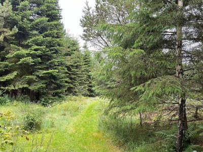 Holiday house 2 Personen Ferienhaus in Snedsted-By Traum - Outdoor photo 4