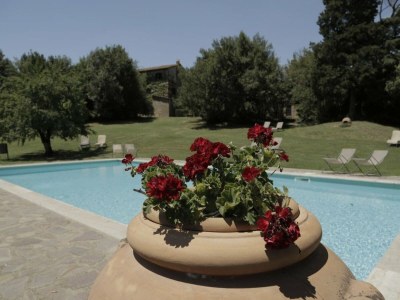 Holiday apartment Holiday Apartment Il Pino - Outdoor photo 7