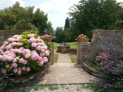 Holiday apartment Holiday Apartment Il Pino - Outdoor photo 9