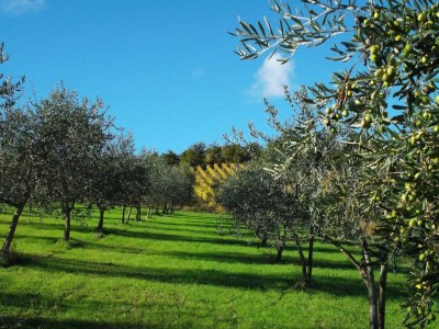 Holiday house No title - Environment photo 27