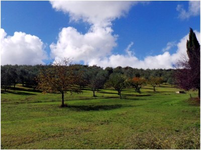 Holiday house No title - Environment photo 28