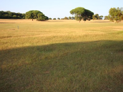 Holiday apartment Villa Ambiente**** - Features photo 29