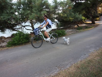 Holiday apartment Villa Ambiente**** - Environment photo 33