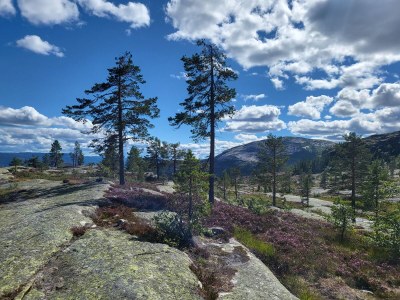 Holiday house Skyhytte Vradal - Environment photo 23