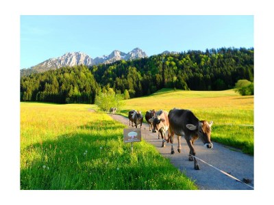 Apartment Familienwohnung Spitzstein im Bauernhaus - Outdoor photo 6