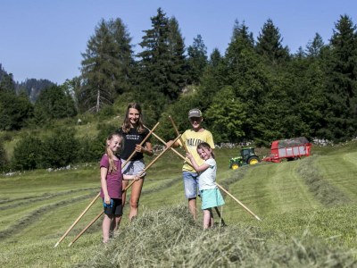 Apartment Familienwohnung Spitzstein im Bauernhaus - Outdoor photo 8
