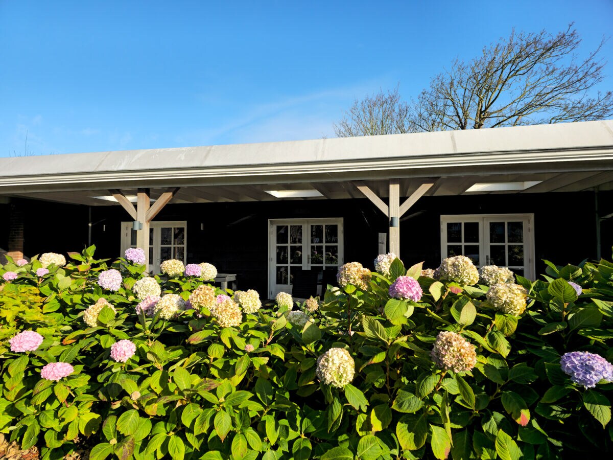 Holiday apartment Zand Domburg DO50 - Outdoor photo 2