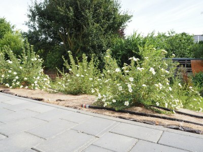 Holiday apartment Sidhu-Herforth - Features photo 31