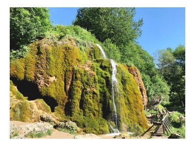 Holiday apartment Sidhu-Herforth - Environment photo 33