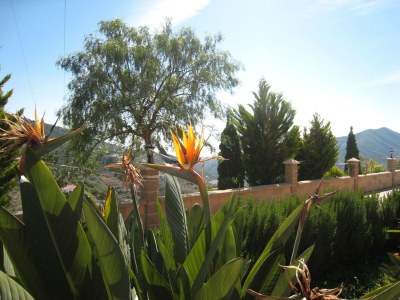 Holiday house Luxury villa in Sayalonga with private pool - Outdoor photo 4