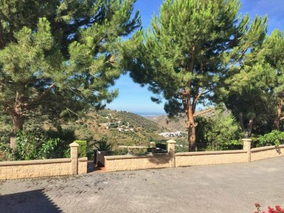 Holiday house Luxury villa in Sayalonga with private pool - Outdoor photo 17