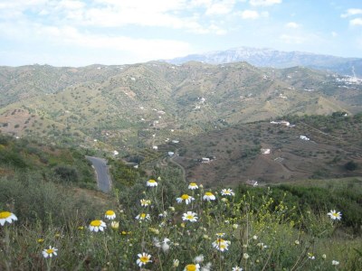 Holiday house Luxury villa in Sayalonga with private pool - Environment photo 35