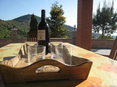 Holiday house Luxury villa in Sayalonga with private pool - Outdoor photo 39