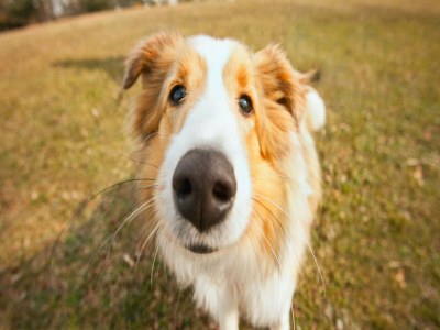 Holiday house Luxury villa in Sayalonga with private pool - Outdoor photo 40